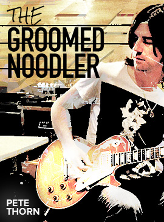 Package - The Groomed Noodler thumbnail