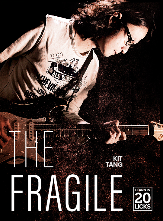 Package - Learn In 20 Licks: The Fragile thumbnail